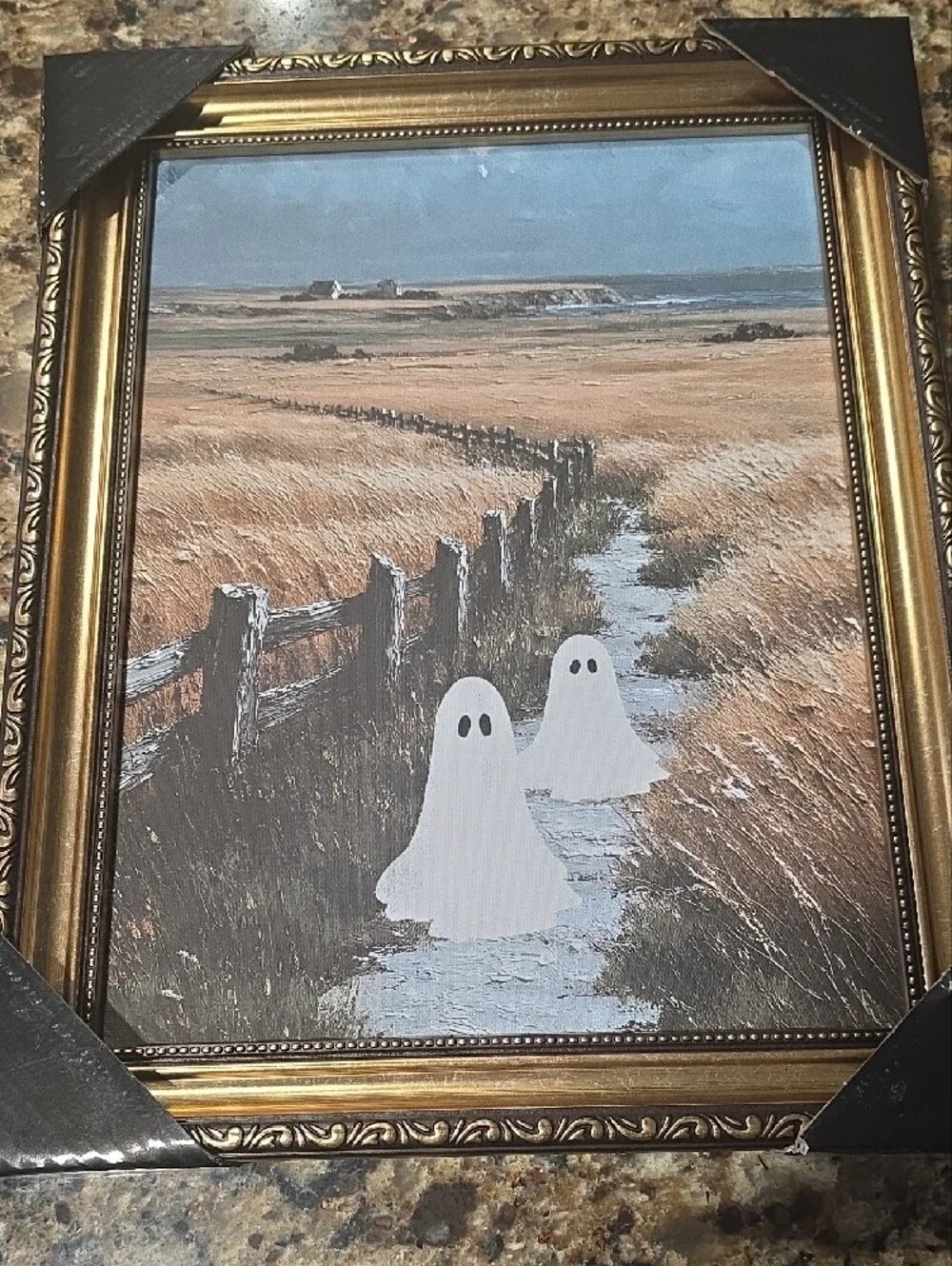 New Framed Coastal Field Wall Art with White Ghost Accents